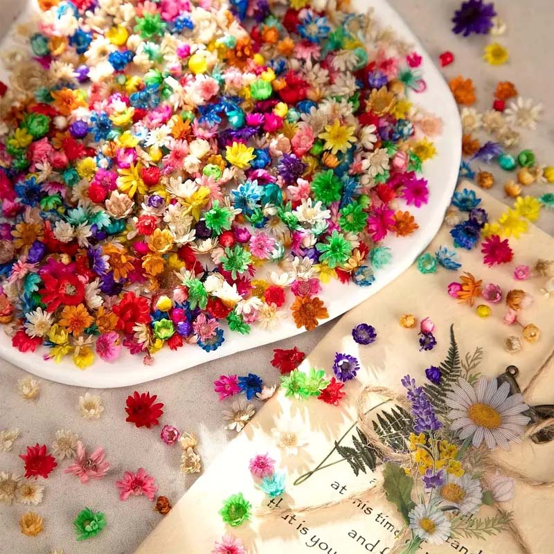 Flor colorida mista para molda - Resin Craft Ideas avaliação e preço